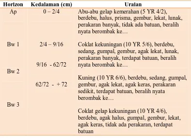Tabel 7. Morfologi Profil 2 di Arboretum USU Kwala Bekala, kecamatan Pancur Batu, Kabupaten Deli Serdang  