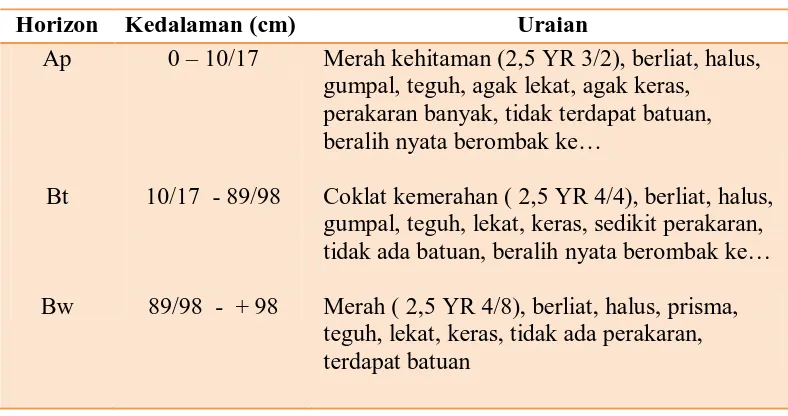 Tabel 8. Morfologi Profil 3 di Arboretum USU Kwala Bekala, kecamatan Pancur Batu, Kabupaten Deli Serdang 