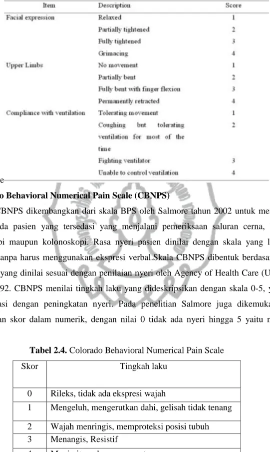 Tabel 2.3. The Behavioral Pain 