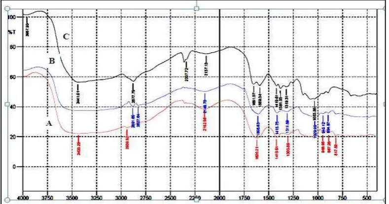 Figure 10. The FT-IR spectra of RH (A) and Alg-Chi (1:1) matrix containing RH (B)