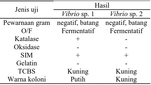 Tabel 3. Hasil uji pewarnaan gram serta uji fisiologis dan biokimia dari isolat murni bakteri yang menginfeksi benih kerapu macan Epinephelus fuscoguttatus di KJA Balai Sea Farming Kepulauan Seribu  