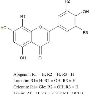 Gambar 2.Senyawa flavonoid pada jewawut (Dykes dan Rooney, 2006) 