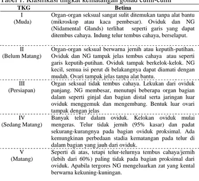 Tabel 1. Klasifikasi tingkat kematangan gonad cumi-cumi  