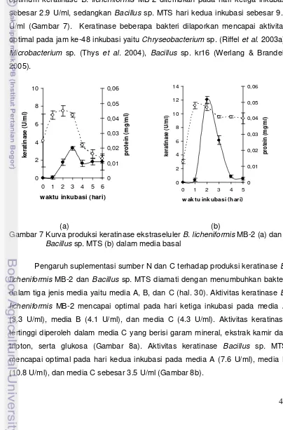 Gambar 7 Kurva produksi keratinase ekstraseluler B. licheniformis MB-2 (a) dan    