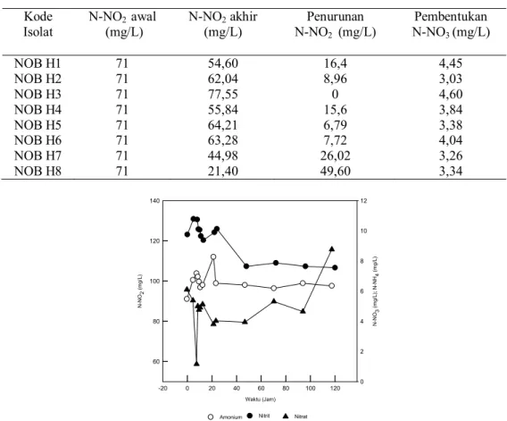 Tabel 3. Rerata penurunan konsentrasi nitrit dan pembentukan nitrat isolat-isolat  bakteri   Heterotrofik