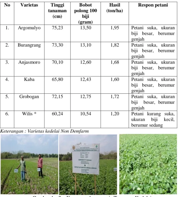 Tabel  2.  Data  Keragaan  Tanaman  Demfarm  Varietas  Unggul  Kedelai  dan  Non  Demfarm  No  Varietas  Tinggi  tanaman  (cm)  Bobot  polong 100 biji  (gram)  Hasil  (ton/ha)  Respon petani 