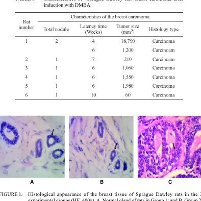 FIGURE 1.Histological appearance of the breast tissue of Sprague Dawley rats in the 3experimental groups (HE, 400x)