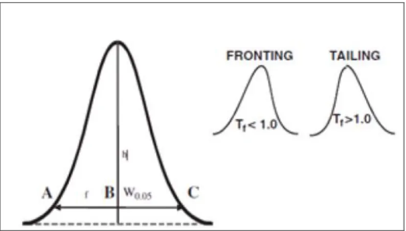 Gambar 2.4. Perhitungan Tailling Factor (T f ) (Ahuja and Dong, 2005). 