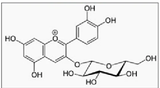Gambar 2.2. Struktur Kimia Sianidin-3-O-Glukosida (Depkes RI, 2011) 