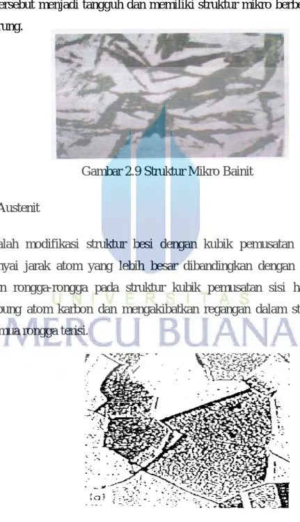 Gambar 2.10 Mikrostruktur dari : Austenit  