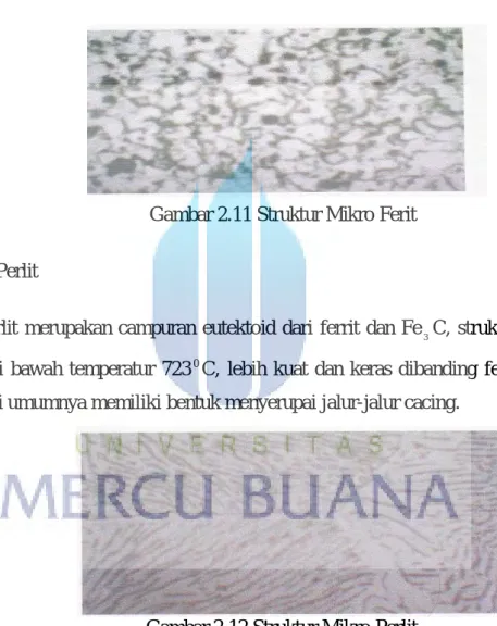 Gambar 2.11 Struktur Mikro Ferit