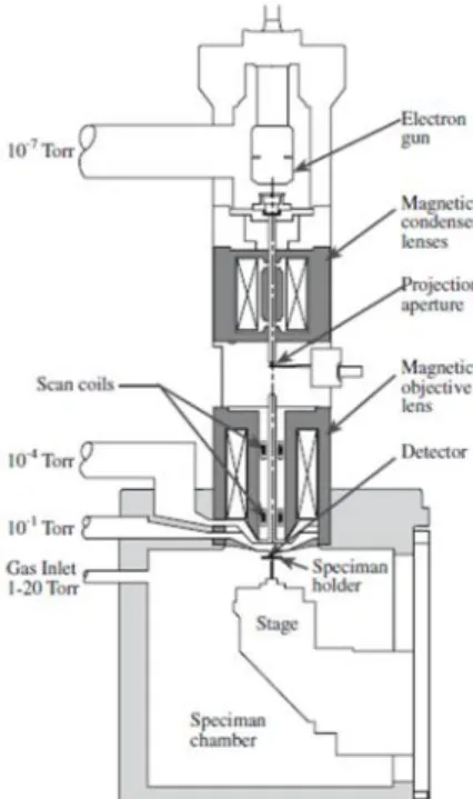 Gambar 7. Skema dasar SEM (Scanning Electron Microscopy) (Carter &amp; Norton, 2007).