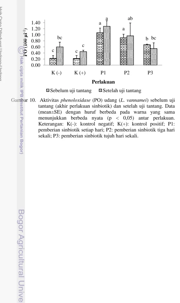 Gambar 10. Aktivitas phenoloxidase (PO) udang (L. vannamei)  sebelum  uji tantang  (akhir  perlakuan  sinbiotik)  dan setelah  uji  tantang