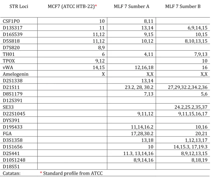 Tabel 1. Profil lokus galur sel kanker payudara MCF-7 pada sumber A dan B dibandingkan dengan profil  standar dari ATCC 