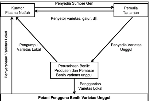 Gambar  1.    Triangle  pengguna  secara  langsung  plasma  nutfah.