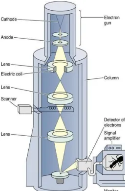 Gambar 8. Skematik alat Scanning Electron Microscopy (SEM) (Smallman dan                           Bishop, 1995)
