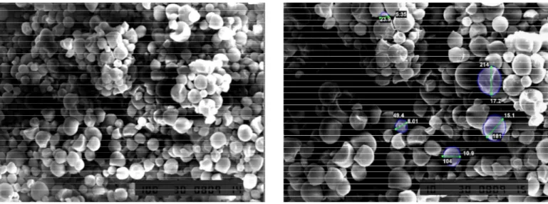 Gambar 2.   Hasil pengamatan SEM tapioka konsentrasi substrat 40 % dan konsentrasi asam suksinat 5 % dengan metode oven pada perbesaran 500x dan 750x