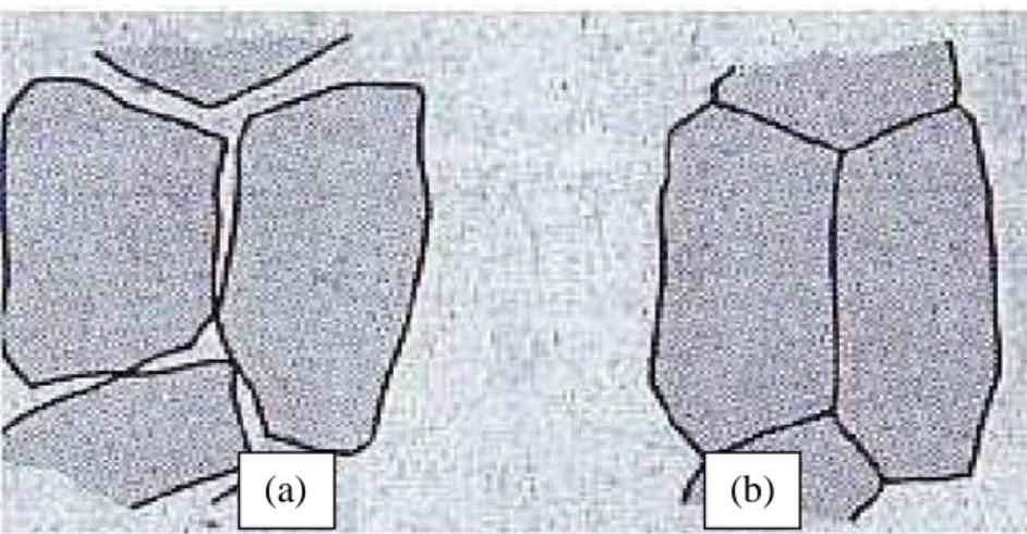 Gambar 7. Prinsip sintering (a) sebelum sintering, (b) setelah sintering (Van  Vlack, 1991)