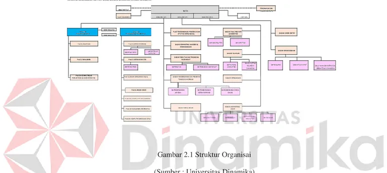 Gambar 2.1 Struktur Organisai  (Sumber : Universitas Dinamika) 