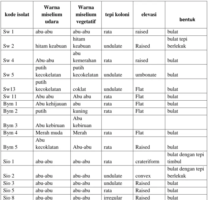 Tabel 1. Hasil Pengamatan Makrmorfologi Isolat aktinomisetes 