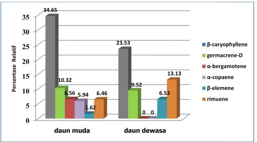 Gambar 2. Grafik daun mfik komponen utama minyak atsiri H.suaveolensun muda dan daun dewasa.ens(L.) Poit.pada