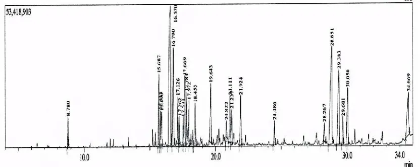 Gambar 2.Chromatogram M Minyak Atsiri Daun Muda H. suaveolens (L.)Poioit.