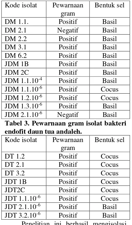 Tabel 2. Pewarnaan gram isolat bakteri endofit daun muda andaleh. 
