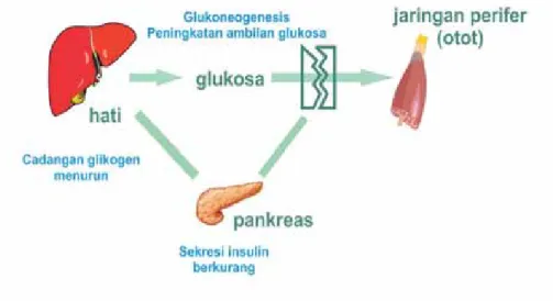 Gambar 2 Patofi siologi Puasa pada Individu dengan Diabetes