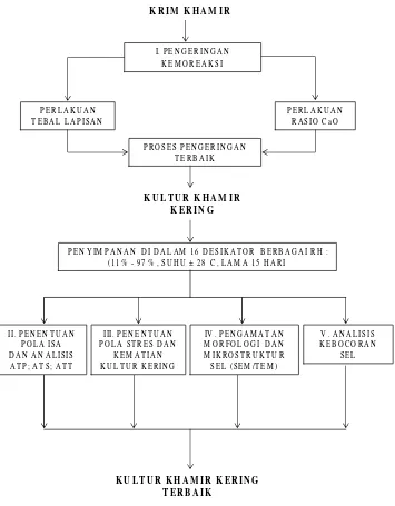 Gambar 13.  Diagram Alir Penelitian 
