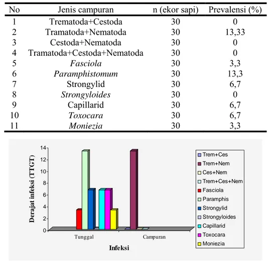 Tabel 4  Prevalensi (%) tunggal dan campuran cacing saluran pencernaan sapi  No  Jenis campuran  n (ekor sapi)  Prevalensi (%) 