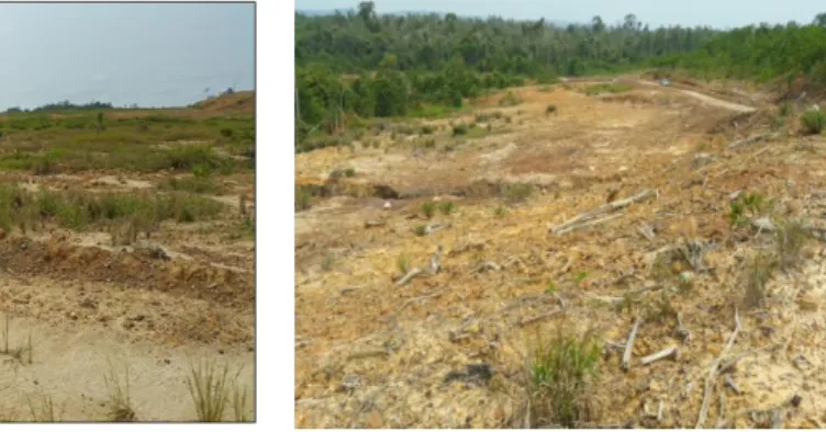 Gambar 1. Kondisi Lahan Plot 1  Gambar 2. Kondisi Lahan Plot 2 