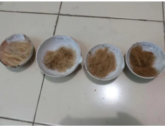 Gambar 3. Serabut yang telah diberi perlakuan