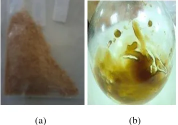 Gambar 4 Sampel  hasil freeze dry (a) dan sampel hasil evaporasi (b) 