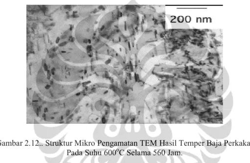 Gambar 2.12.. Struktur Mikro Pengamatan TEM Hasil Temper Baja Perkakas  Pada Suhu 600 o C Selama 560 Jam