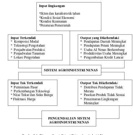 Gambar 5.1. Diagram Input-Output Sistem Agroindustri Nenas. 