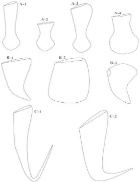 Gambar 2. Sketsa Beberapa Bentuk Kantung Nepenthes spp. 