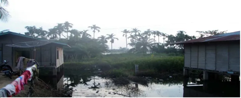 Gambar 1 :Tanah Timbul (Endapan Tua) Serta Contoh Penanda Batas Lahan diDesa Teluk Erong, Kecamatan Rengat Kabupaten Indragiri Hulu
