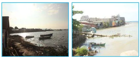 Gambar 5.Kondisi permukiman di dua desa penelitian yang berada di pesisir pantai dan muara 