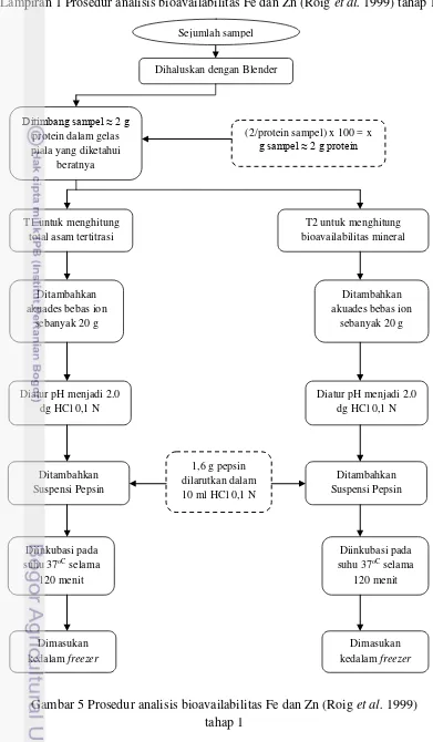 Gambar 5 Prosedur analisis bioavailabilitas Fe dan Zn (Roig et al. 1999) 