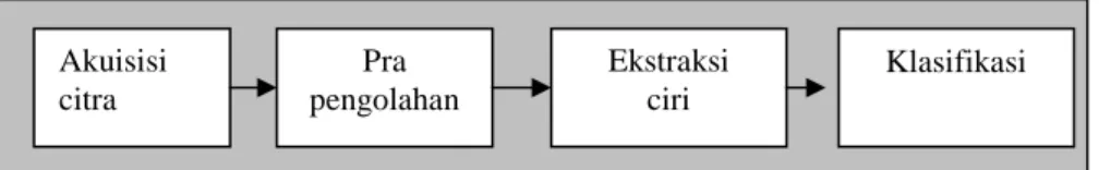 Gambar 2.1.  Struktur sistem pengenalan pola 