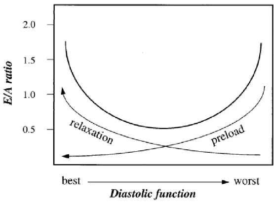Gambar 6.Hubungan relaksasi dan beban jantung terhadap fungsi diastolic 