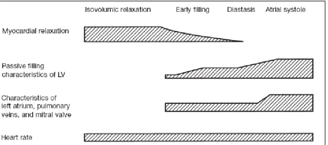 Gambar 2. Faktor yang berperan dalam diastolic ventrikel kiri, dan hubungannya dengan fase‐fase  diastolik . 