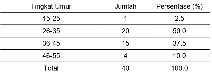 Tabel 1. Distribusi Responden Berdasarkan Umur di Bagian Tenun ”Agung Saputra Tex”    Piyungan Bantul Yogyakarta Tahun 2010