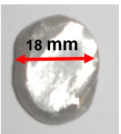Gambar  1.  Material  awal  berupa  kobalt,  krom,  molibden  dan  mangan  sebelum  dilebur  dalam  tri  arc melting 