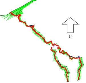 Gambar 2. Geometri Model Sungai Balong 
