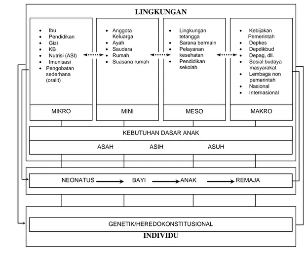 Gambar 2.  Diagram Kerangka Konseptual Proses Tumbuh Kembang Anak    (Sumber: Ismael (1991) dalam Soetjiningsih (1998)) 