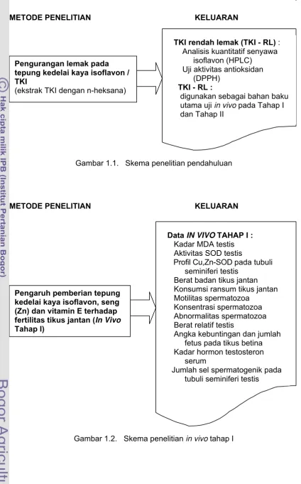 Gambar 1.1.   Skema penelitian pendahuluan 