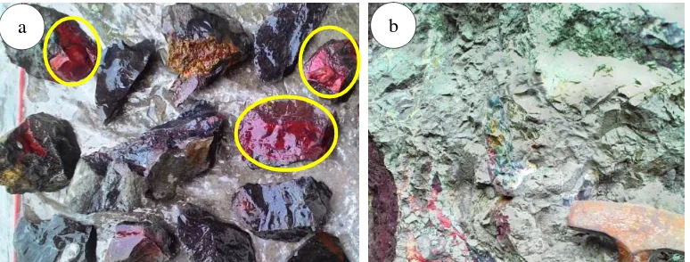 Gambar  8. Singkapan Jasper berbentuk laminasi yang mengikuti pola struktur sedimen awal sebelum terbungkus oleh lava (a), singkapan Jasper berbentuk nodul-nodul membulat maupun melonjong (b)