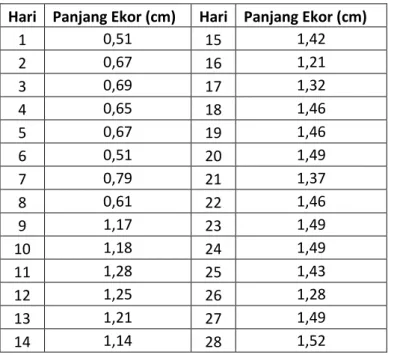 Tabel 4. Panjang ekor juwana kuda laut H. barbouri  Hari  Panjang Ekor (cm)  Hari  Panjang Ekor (cm) 