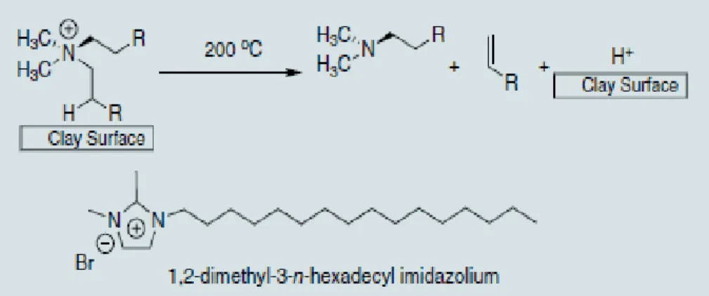 Gambar 2.5 Reaksi Degradasi Hofmann dari alkilammonium pada permukaan clay  dan   kestabilan termal dari kation imidazolium (Morgan, 2007) 